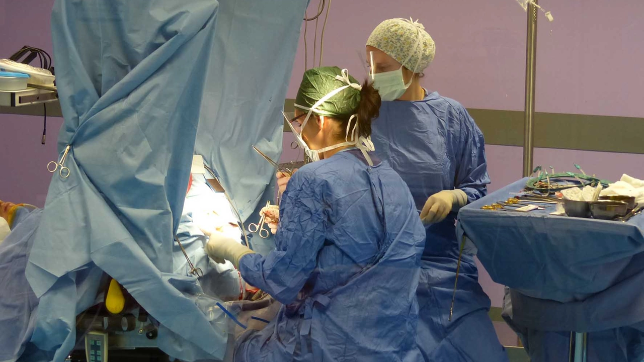 La mancata diagnosi ha complicato lo stato di salute del paziente (foto d’archivio) La mancata diagnosi ha complicato lo stato di salute del paziente (foto d’archivio)