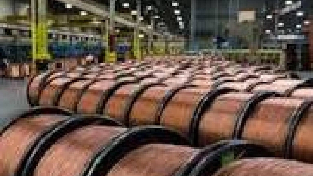 Previsto 'significativo incremento' della capacità produttiva Previsto 'significativo incremento' della capacità produttiva