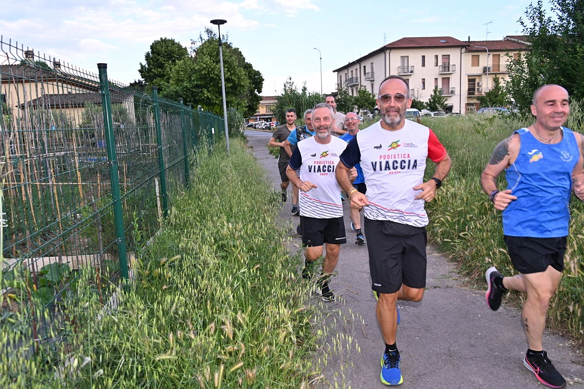 immagine di sfondo 12