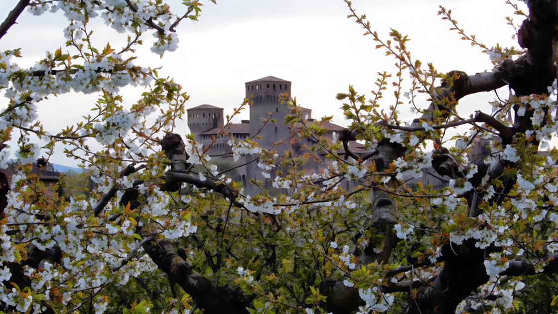 meteo assaggio d estate