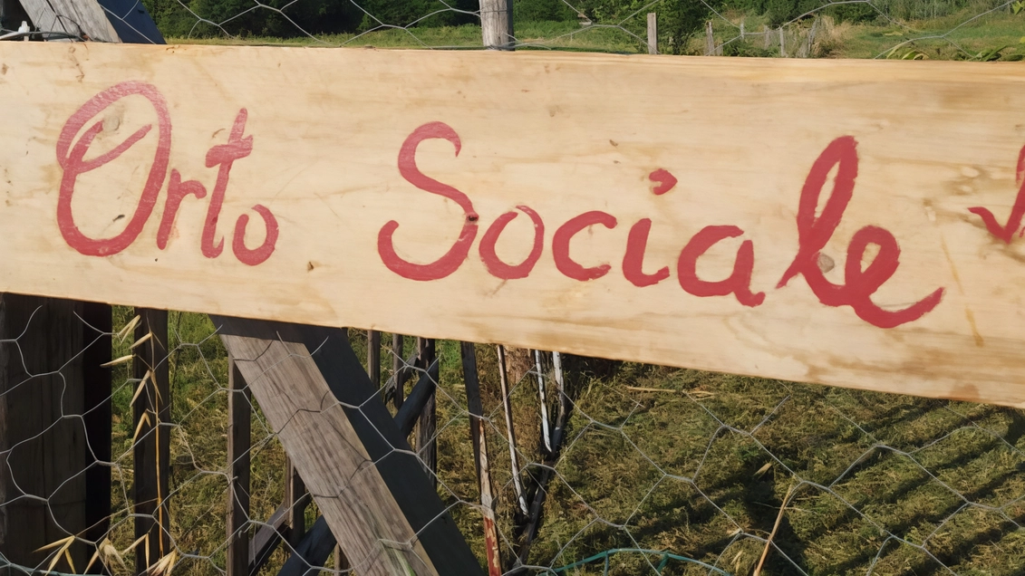 Ci sarà anche un corso di panificazione per i ragazzi ospiti del Podere Il Santo dove ogg si terrà questo progetto di inclusione Ci sarà anche un corso di panificazione per i ragazzi ospiti del Podere Il Santo dove ogg si terrà questo progetto di inclusione