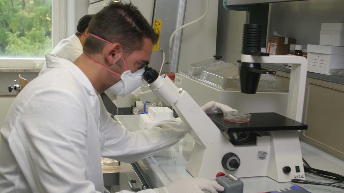 Scoprire le cause dei tumori. Pistoia, prosegue il “Progetto Strap”