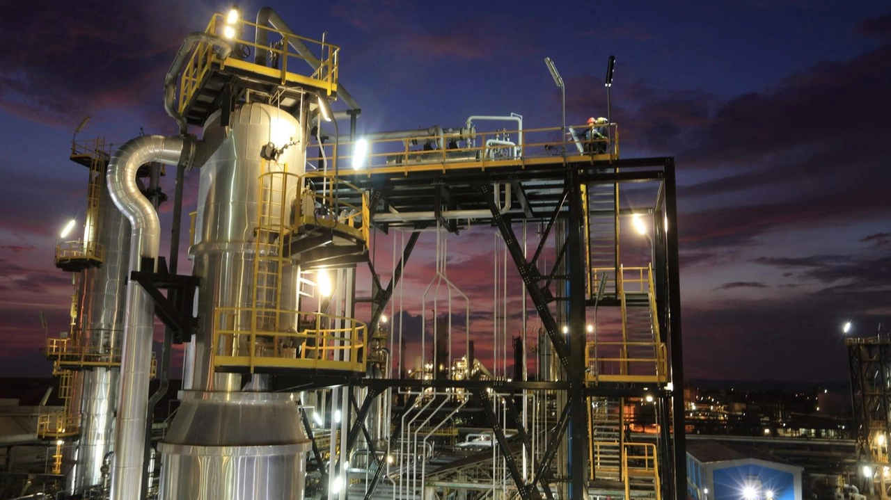 Produzione industriale di olio vegetale per la bioraffinazione Produzione industriale di olio vegetale per la bioraffinazione