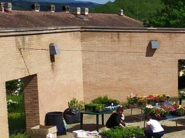 immagine articolo