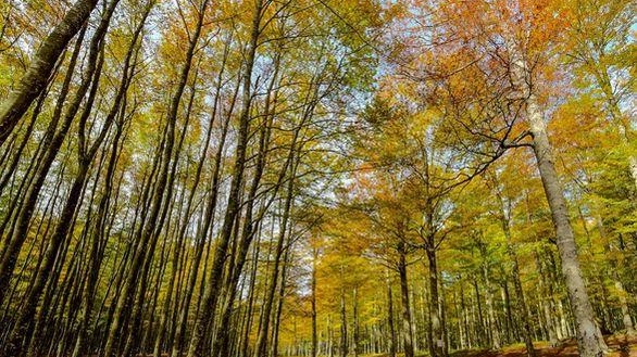 L’unione ha deciso di valutare di volta in volta la destinazione dei fondi L’unione ha deciso di valutare di volta in volta la destinazione dei fondi