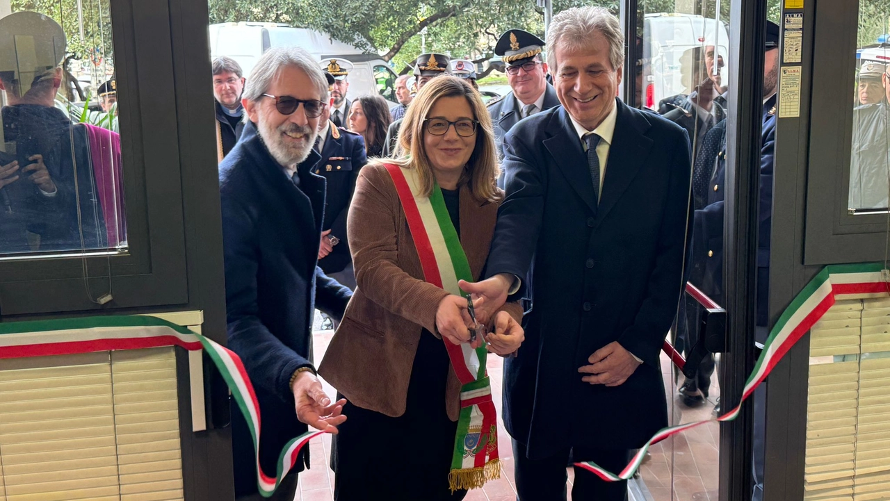 Il punto sui reati nel 2024 Il punto sui reati nel 2024