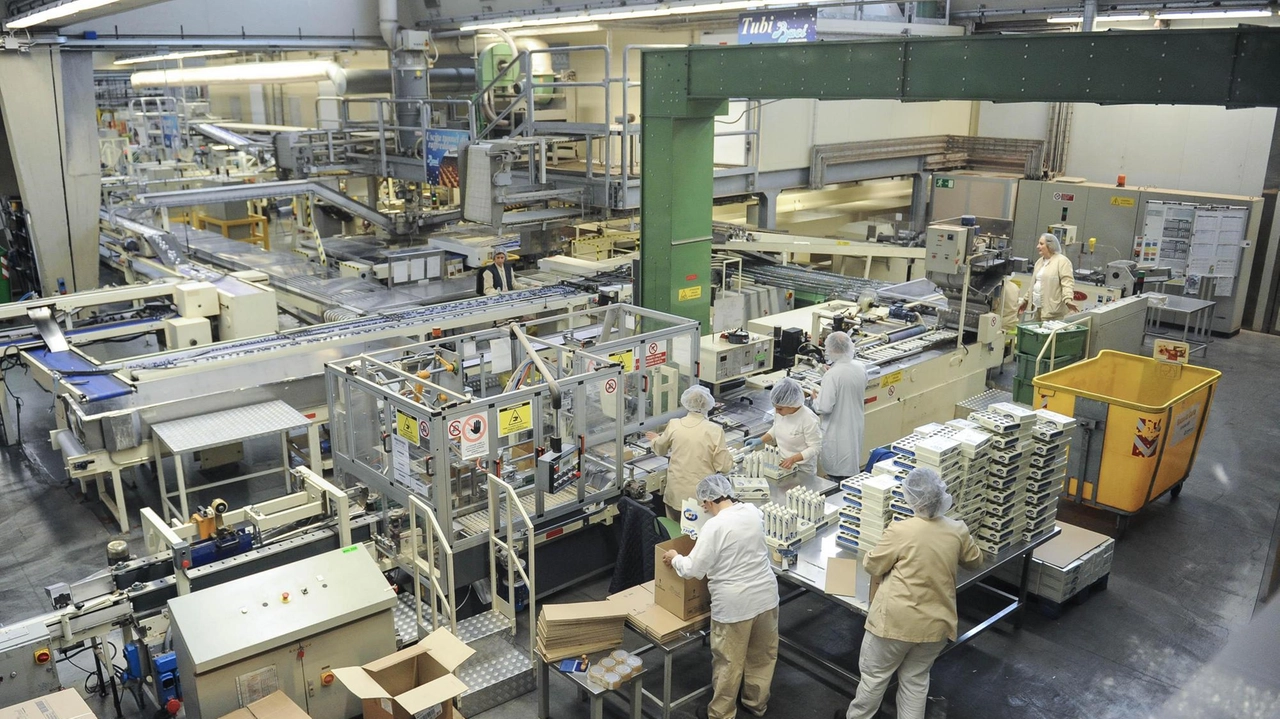 Dallo stabilimento Perugina– Nestlè di San Sisto arriva una nuova variante del Bacio. L’iconico cioccolatino che ha veicolato nel mondo... Dallo stabilimento Perugina– Nestlè di San Sisto arriva una nuova variante del Bacio. L’iconico cioccolatino che ha veicolato nel mondo...
