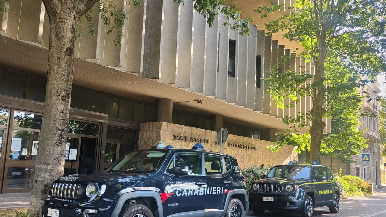 I carabinieri e la guardia di finanza I carabinieri e la guardia di finanza