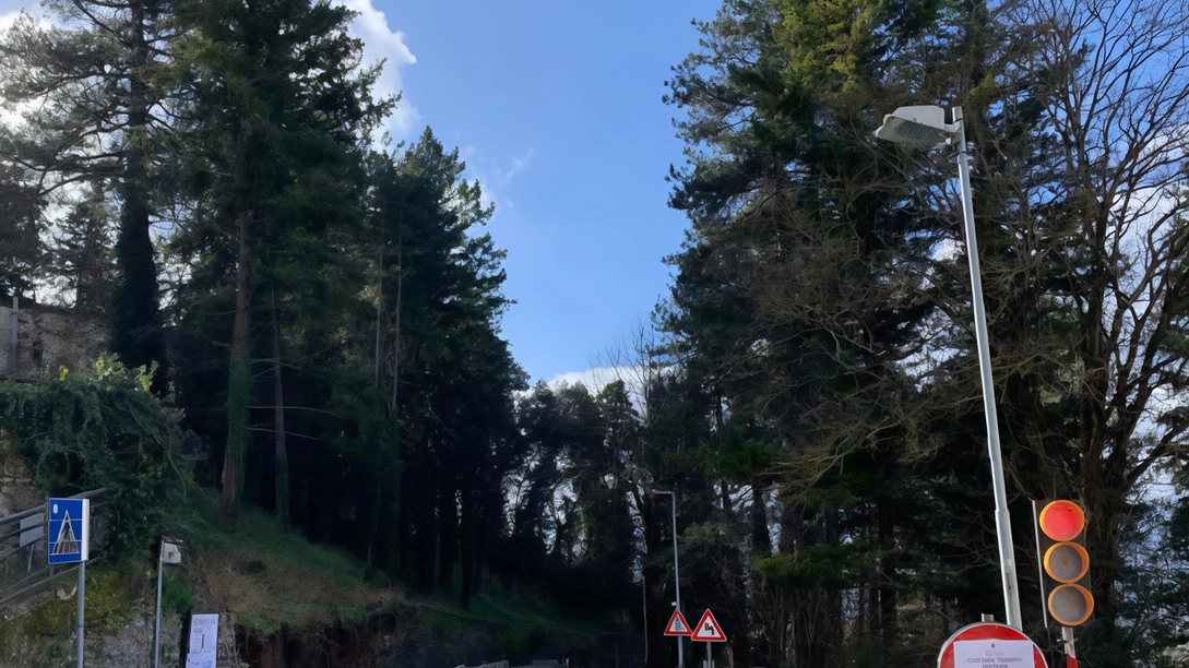 Il muro di via Turati crollato lo scorso gennaio; sarà anche messa in sicurezza il tratto della Sp 208 che coincide con via Luigi Gori Il muro di via Turati crollato lo scorso gennaio; sarà anche messa in sicurezza il tratto della Sp 208 che coincide con via Luigi Gori