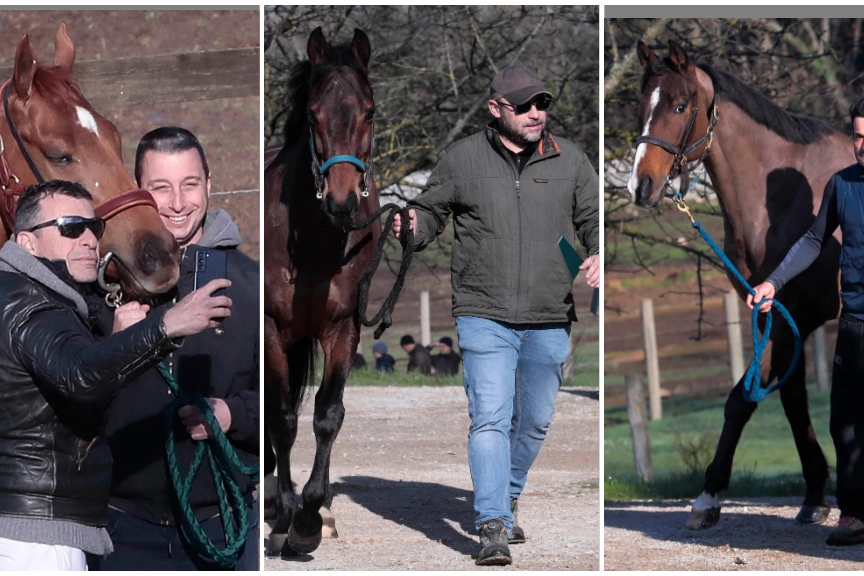 Tre momenti delle pre visite del Palio (Foto Lazzeroni)