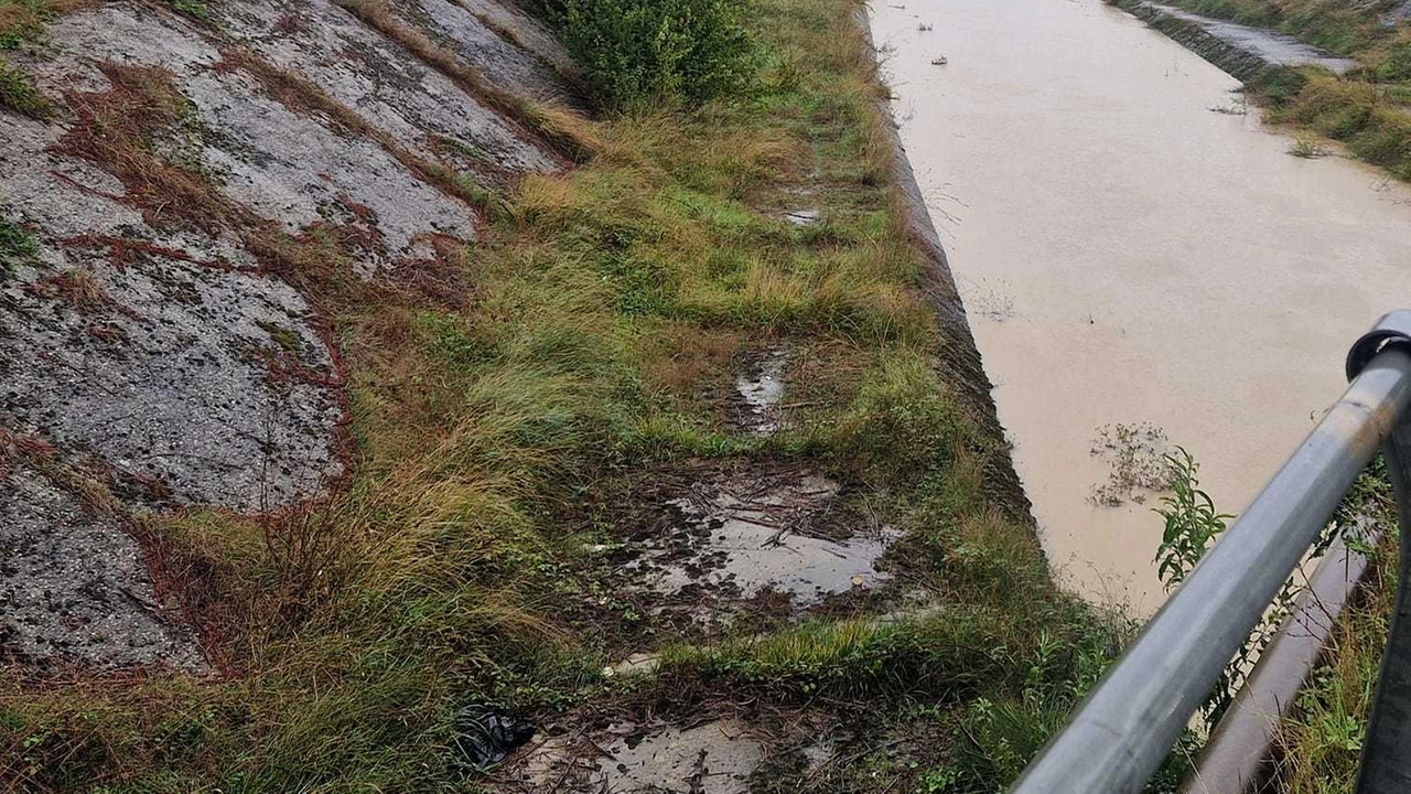 Dopo intense piogge, il lago Trasimeno ha recuperato 8 cm. Il neo-commissario Dell'Acqua interverrà per affrontare le criticità idriche e stabilizzare gli equilibri del bacino. Dopo intense piogge, il lago Trasimeno ha recuperato 8 cm. Il neo-commissario Dell'Acqua interverrà per affrontare le criticità idriche e stabilizzare gli equilibri del bacino.