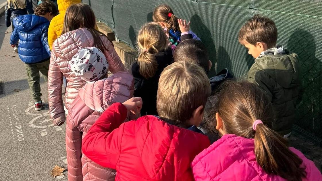 https://www.lanazione.it/image-service/view/acePublic/alias/contentid/Y2RlMGJlZDUtMzk2OS00/0/amministrazione-a-misura-di-bambino-grazie-allistituto-innocenti.jpeg?f=16:9&w=1200&h=630