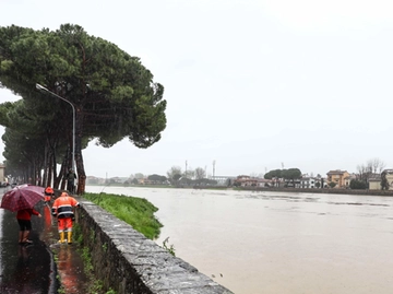 immagine articolo