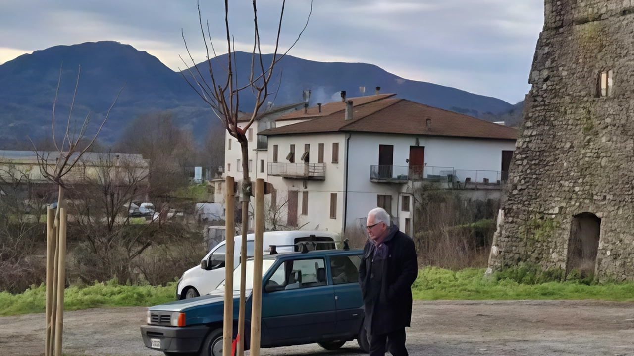 Il sopralluogo del sindaco di Licciana Nardi Renzo Martelloni al Castello di Terrarossa dove sono stati piantumati sette nuovi esemplari Il sopralluogo del sindaco di Licciana Nardi Renzo Martelloni al Castello di Terrarossa dove sono stati piantumati sette nuovi esemplari