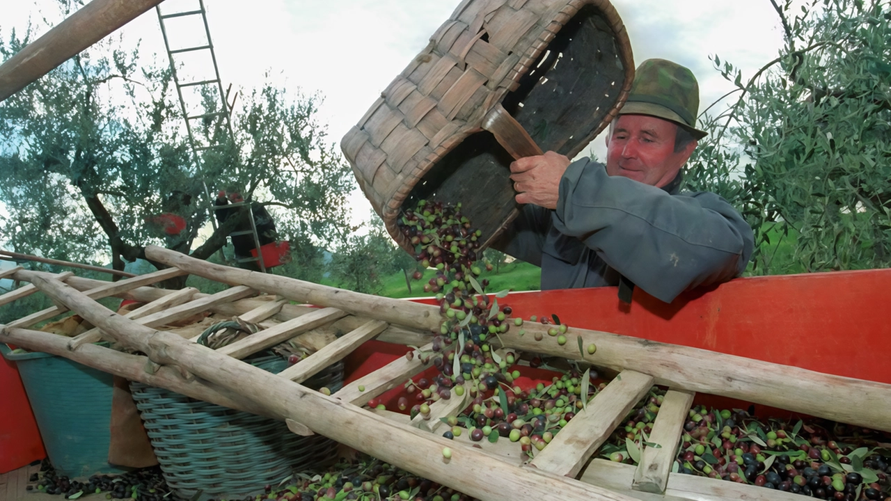 Coldiretti denuncia che sono a rischio 167 milioni nel settore agro-alimentare