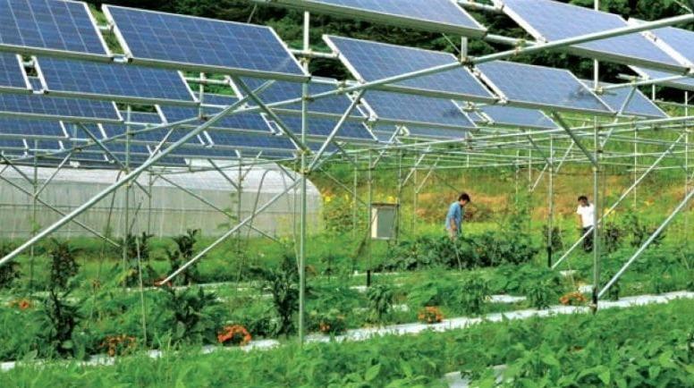 https://www.lanazione.it/image-service/view/acePublic/alias/contentid/Y2U4YzdiNzEtNWEyNC00/0/impianto-agrivoltaico-xxl-coldiretti-piana-di-rosia-solo-consumo-di-territorio.jpeg?f=1.90:1&w=1200