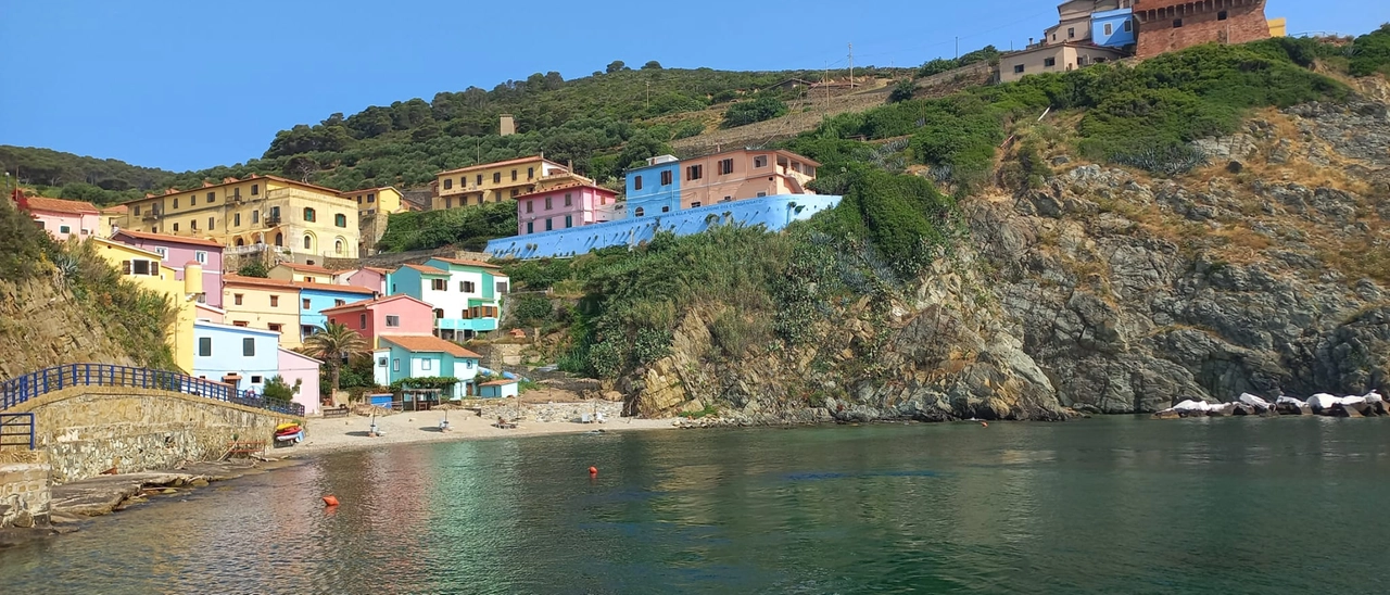 Gorgona, l’isola della speranza. La rinascita dalla cura delle viti