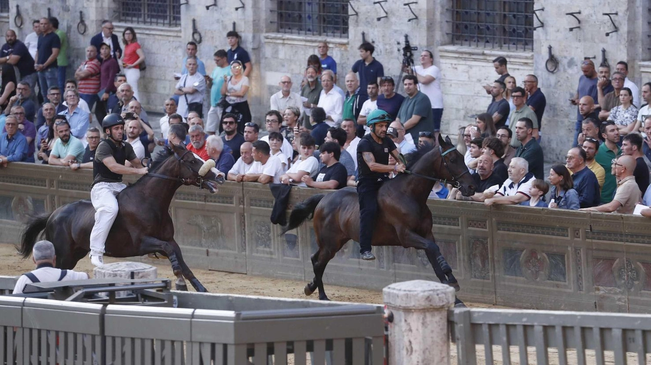 Una prova del palio di Siena. Tabarre è stato uno dei protagonisti tra l’800 e il ’900. Ora Volterra gli rende omaggio intitolandogli una piazza