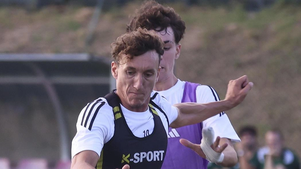 Adesso è ufficiale: il Follonica Gavorrano sarà ai nastri di partenza della prossima Serie D. Il Consiglio direttivo della Lnd...