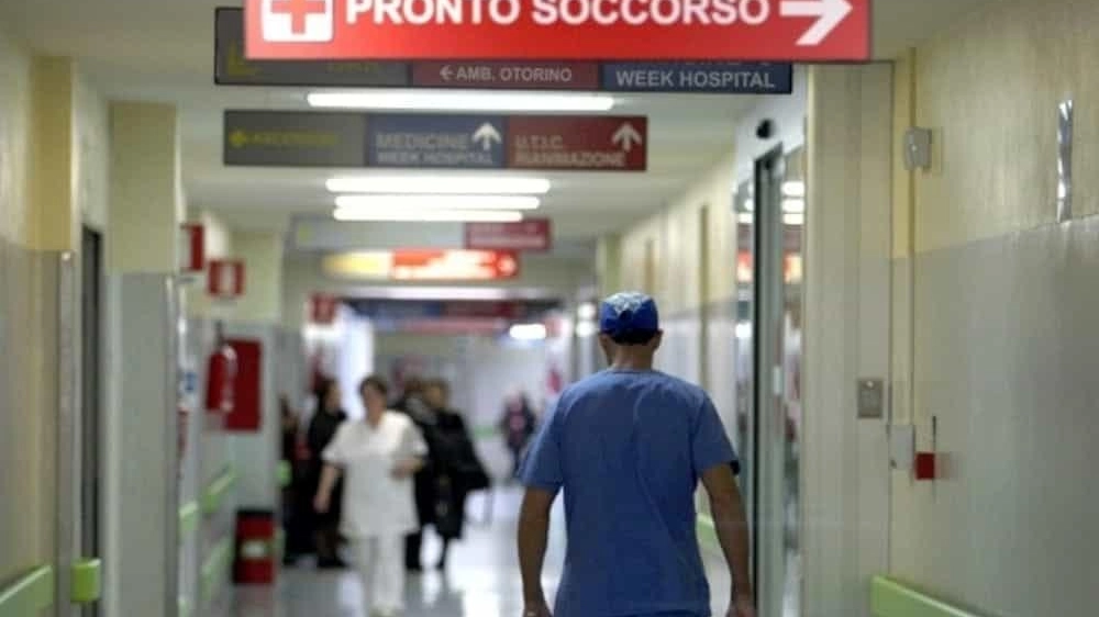 Il ladro, finito in coma etilico, è stato portato al Pronto soccorso del Versilia, dove si è scoperto avere addosso i portafogli con le carte d’identità delle vittime dei furti Il ladro, finito in coma etilico, è stato portato al Pronto soccorso del Versilia, dove si è scoperto avere addosso i portafogli con le carte d’identità delle vittime dei furti