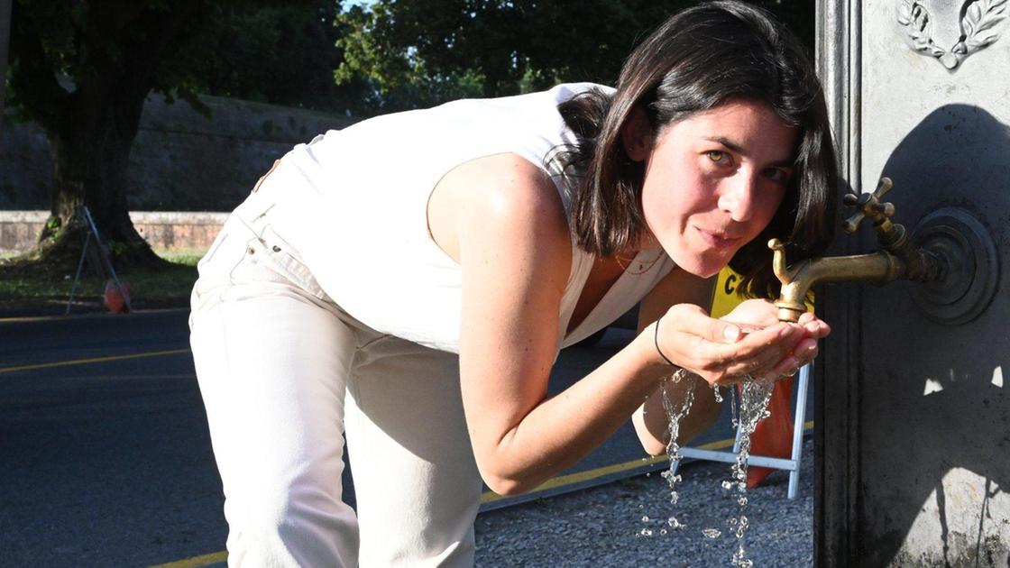 https://www.lanazione.it/image-service/view/acePublic/alias/contentid/Y2VlMGQ5OWEtN2Q1NC00/0/gaia-fa-chiarezza-sul-subentro-iter-condizionato-dal-contenzioso.jpeg?f=16:9&w=1200&h=630