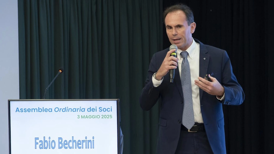 Fabio Becherini Fabio Becherini