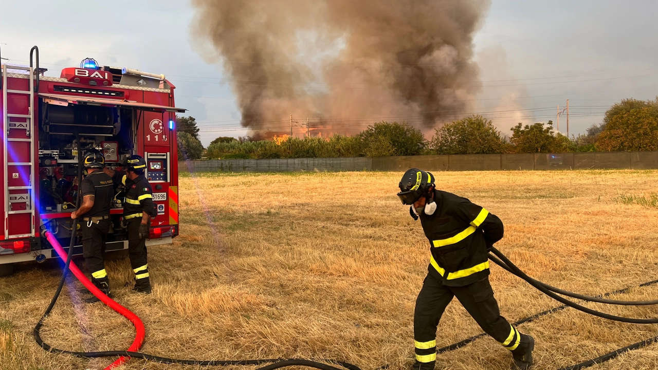 Il vasto incendio divampato ieri sera, 13 agosto, nei pressi di Grosseto (Foto Aprili) Il vasto incendio divampato ieri sera, 13 agosto, nei pressi di Grosseto (Foto Aprili)