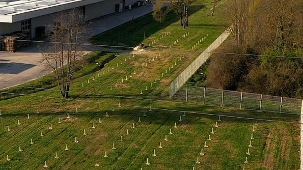Cartiere Cararra ha già messo a dimora di oltre 15mila alberi vicino agli stabilimenti Carrara a Capannori e Badia Pozzeveri Cartiere Cararra ha già messo a dimora di oltre 15mila alberi vicino agli stabilimenti Carrara a Capannori e Badia Pozzeveri