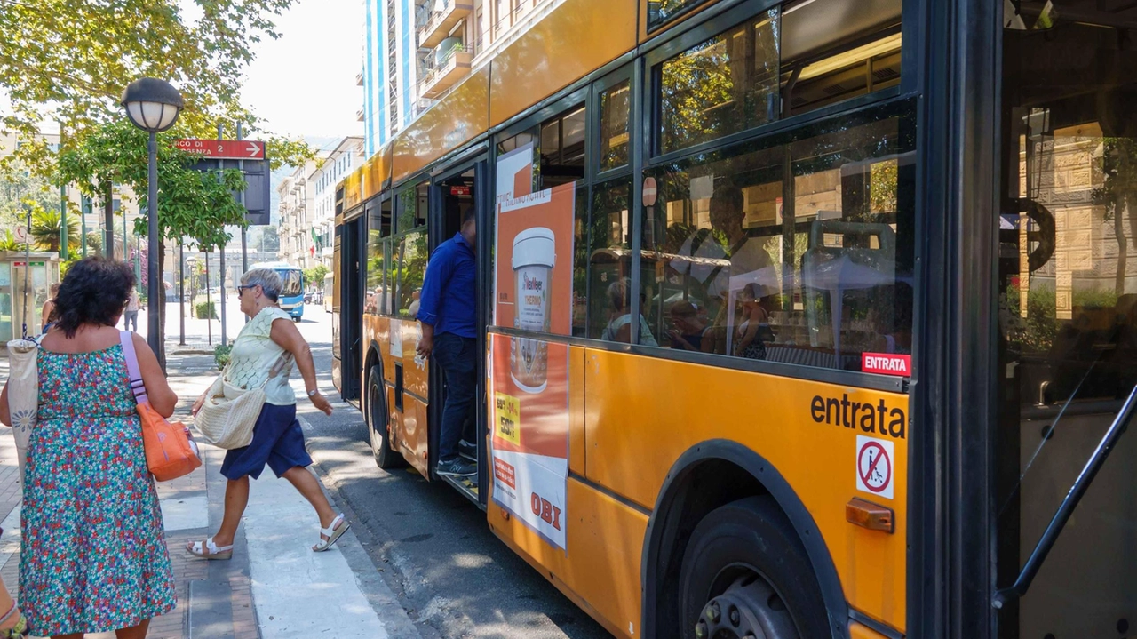 Un autobus di Atc impegnato in una tratta urbana (. foto di repertorio Un autobus di Atc impegnato in una tratta urbana (. foto di repertorio