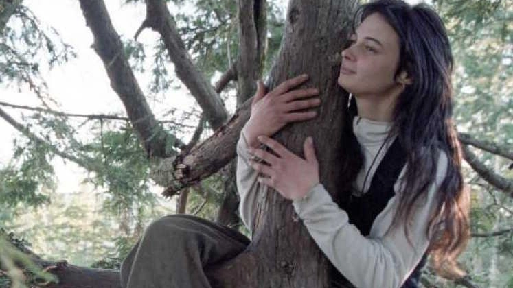 Il male e il bene che possiamo fare agli alberi e a noi stessi. “La ragazza e la sequoia” è... Il male e il bene che possiamo fare agli alberi e a noi stessi. “La ragazza e la sequoia” è...