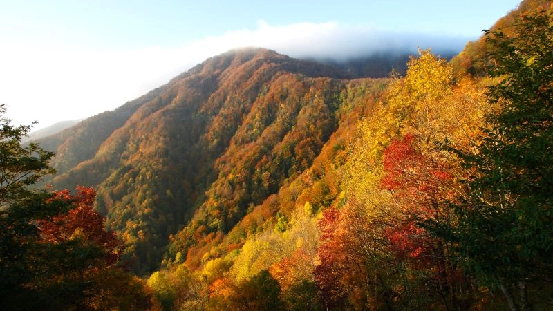 Alle Foreste casentinesi il campo internazionale 'giovani ranger' Alle Foreste casentinesi il campo internazionale 'giovani ranger'