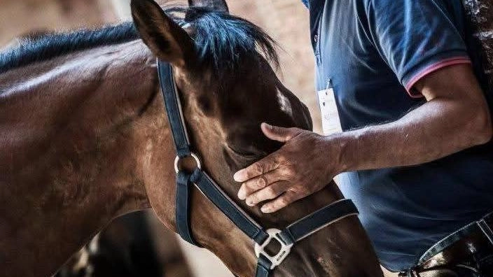 Renato Gigliotti ha vinto il Palio con Sarbana ed è proprietario di Entu