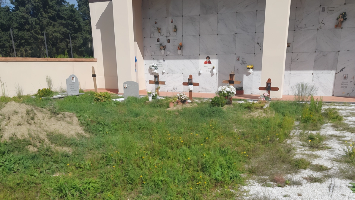 La foto della situazione al cimitero inviata da una nostra lettrice La foto della situazione al cimitero inviata da una nostra lettrice