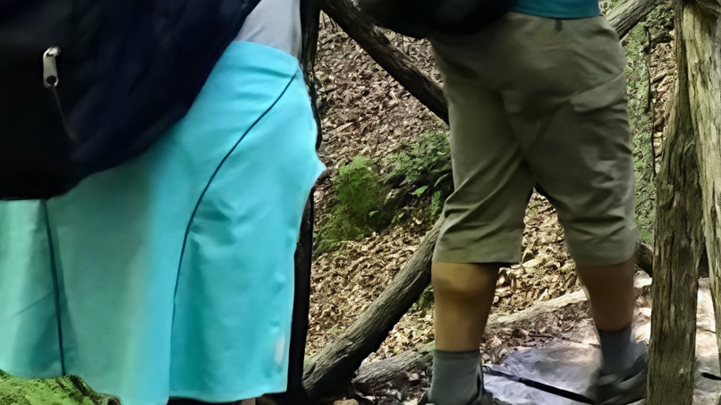 Escursione da Montaione all'alta Valle del Carfalo con "Kilometro inverso" sabato prossimo. Percorso di 12 km tra natura selvaggia e meravigliosa. Equipaggiamento consigliato e contatto per informazioni. Escursione da Montaione all'alta Valle del Carfalo con "Kilometro inverso" sabato prossimo. Percorso di 12 km tra natura selvaggia e meravigliosa. Equipaggiamento consigliato e contatto per informazioni.