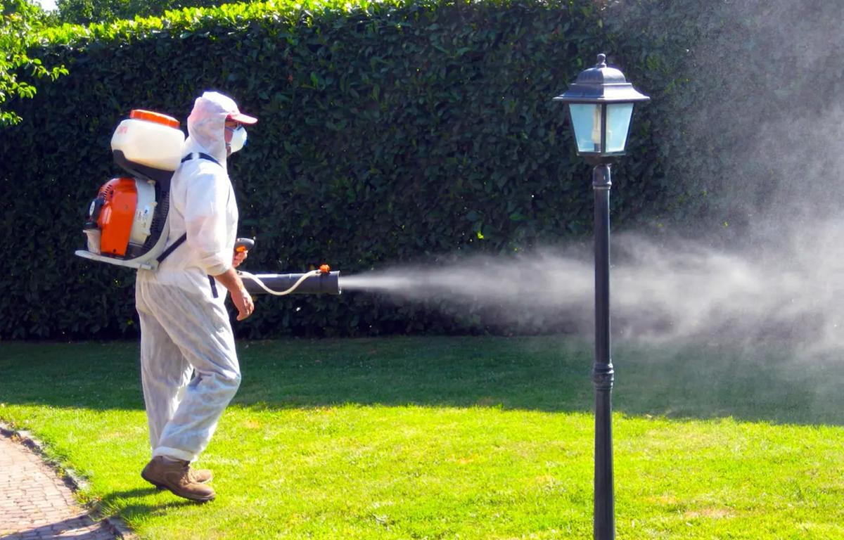 Dopo l’allarme Dengue: “Non è un virus endemico. I casi autoctoni si evitano con la lotta alle zanzare” Dopo l’allarme Dengue: “Non è un virus endemico. I casi autoctoni si evitano con la lotta alle zanzare”