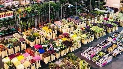 Il Mercato dei fiori e delle piante della Toscana si è aggiudicato i 10 milioni di euro del Pnrr per i lavori per la riqualificazione energetica e digitale Il progetto era stato presentato nel 2022 e subito ammesso al finanziamento Il Mercato dei fiori e delle piante della Toscana si è aggiudicato i 10 milioni di euro del Pnrr per i lavori per la riqualificazione energetica e digitale Il progetto era stato presentato nel 2022 e subito ammesso al finanziamento
