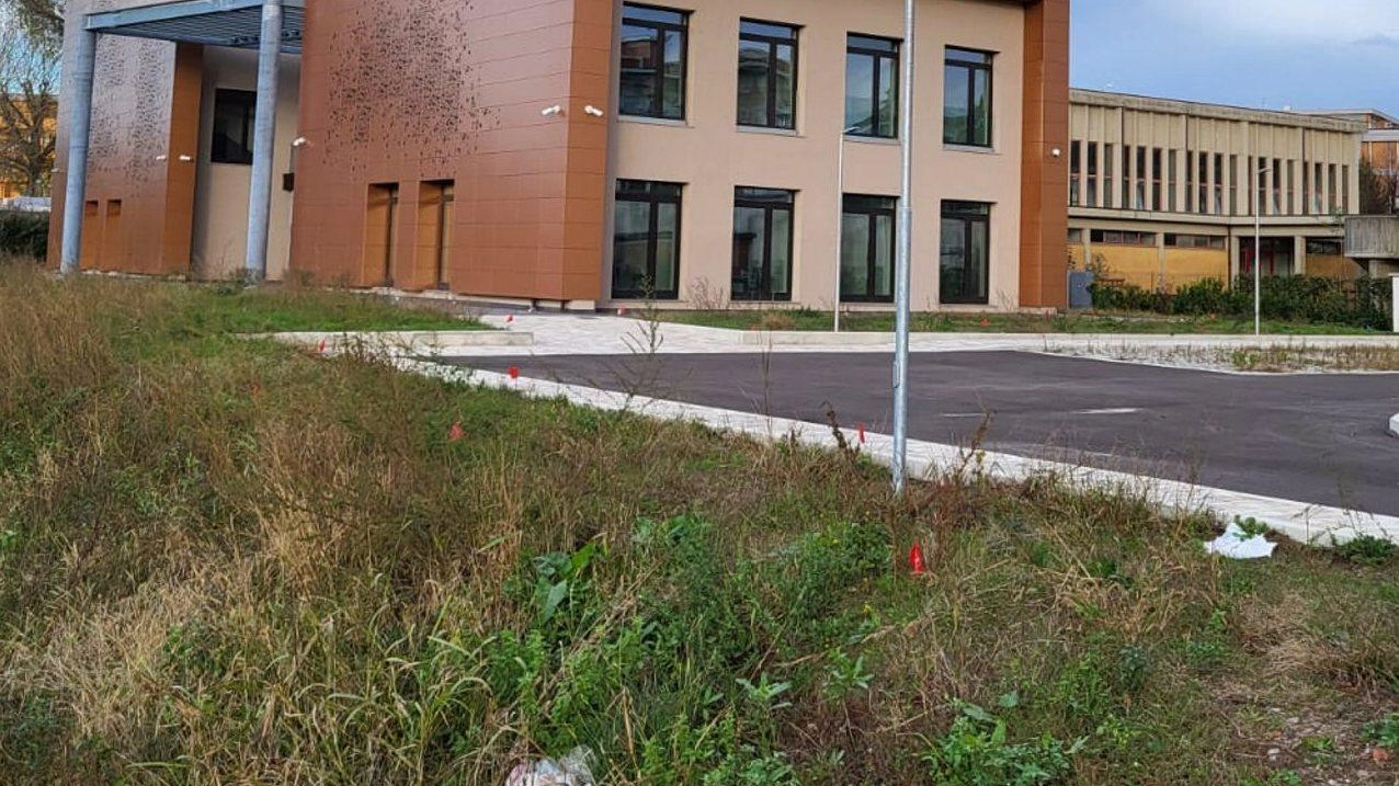 Il distretto sociosanitario Il distretto sociosanitario