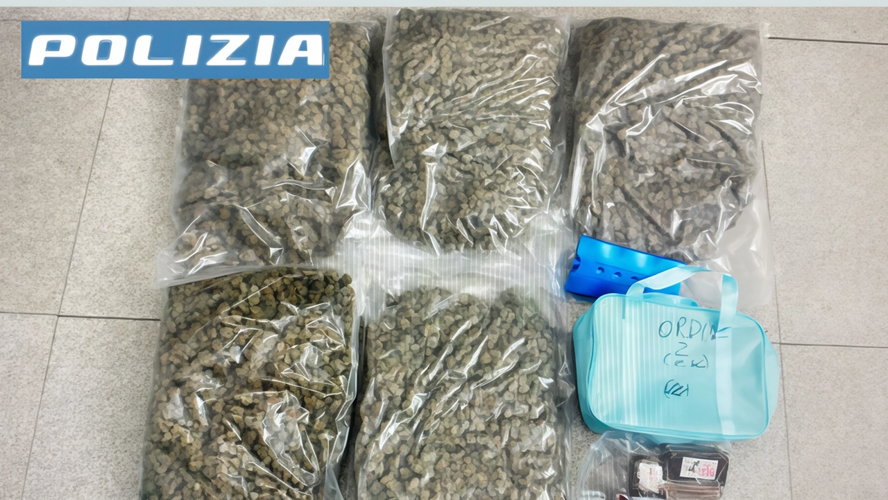 Gli agenti hanno rinvenuto nell’auto (e sequestrato). 14 chili fra marijuana e hashish. Oltre ai 25mila euro in contanti Gli agenti hanno rinvenuto nell’auto (e sequestrato). 14 chili fra marijuana e hashish. Oltre ai 25mila euro in contanti