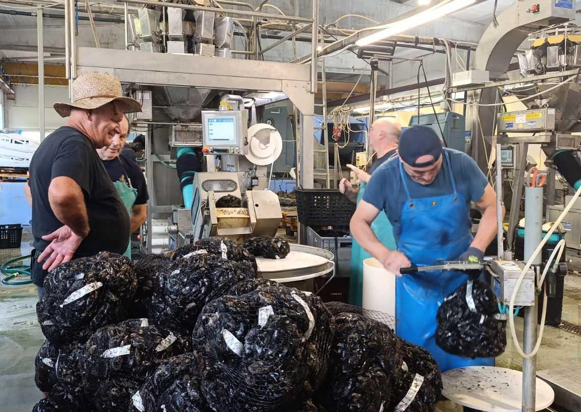 mitilicoltori in attesa i filari dei muscoli fuori dalla diga siamo pronti