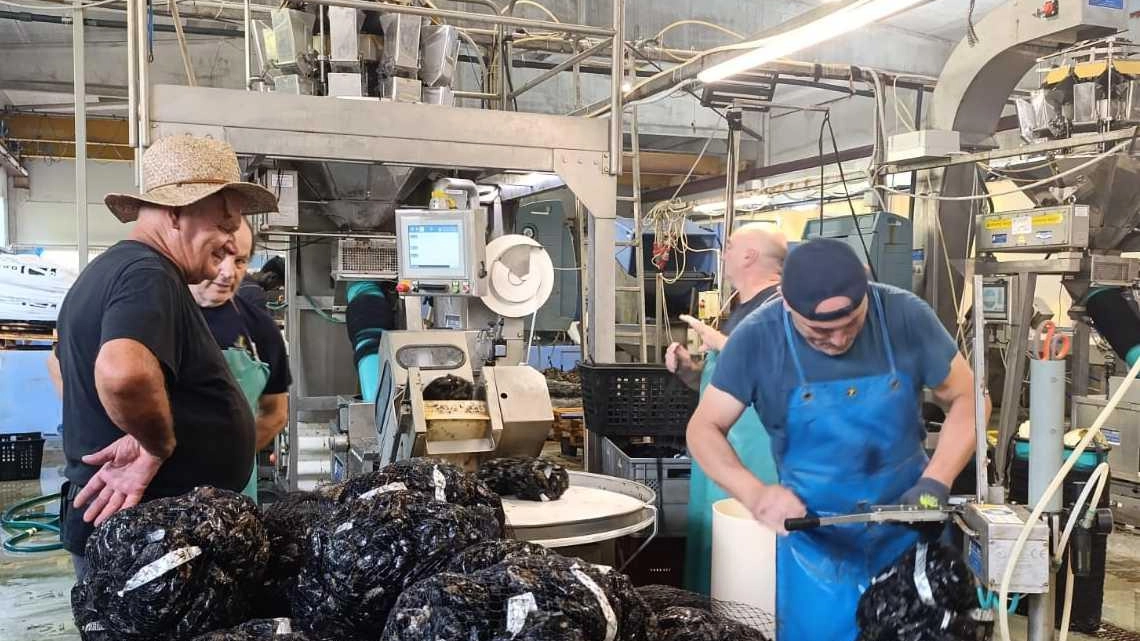 Siglata una nuova concessione a Lerici, a giorni tocca a Porto Venere. Il presidente della cooperativa tra preoccupazioni e speranze. "Il trasferimento è una garanzia, ma abbiamo messo in conto i disagi". Siglata una nuova concessione a Lerici, a giorni tocca a Porto Venere. Il presidente della cooperativa tra preoccupazioni e speranze. "Il trasferimento è una garanzia, ma abbiamo messo in conto i disagi".