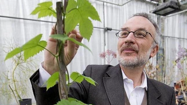 Stefano Mancuso dirige il Laboratorio internazionale di Neurobiologia vegetale Stefano Mancuso dirige il Laboratorio internazionale di Neurobiologia vegetale