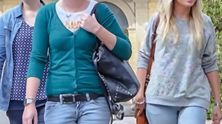 Il 26 settembre al Campus di Arezzo dell’Università di Siena si terrà la "Giornata europea delle lingue" dedicata all'italiano e al suo ruolo nella società contemporanea globale. Evento curato dai professori Patota e Ricci, con interventi di esperti e presentazione di un concorso per studenti sul tema della discriminazione linguistica. Il 26 settembre al Campus di Arezzo dell’Università di Siena si terrà la "Giornata europea delle lingue" dedicata all'italiano e al suo ruolo nella società contemporanea globale. Evento curato dai professori Patota e Ricci, con interventi di esperti e presentazione di un concorso per studenti sul tema della discriminazione linguistica.