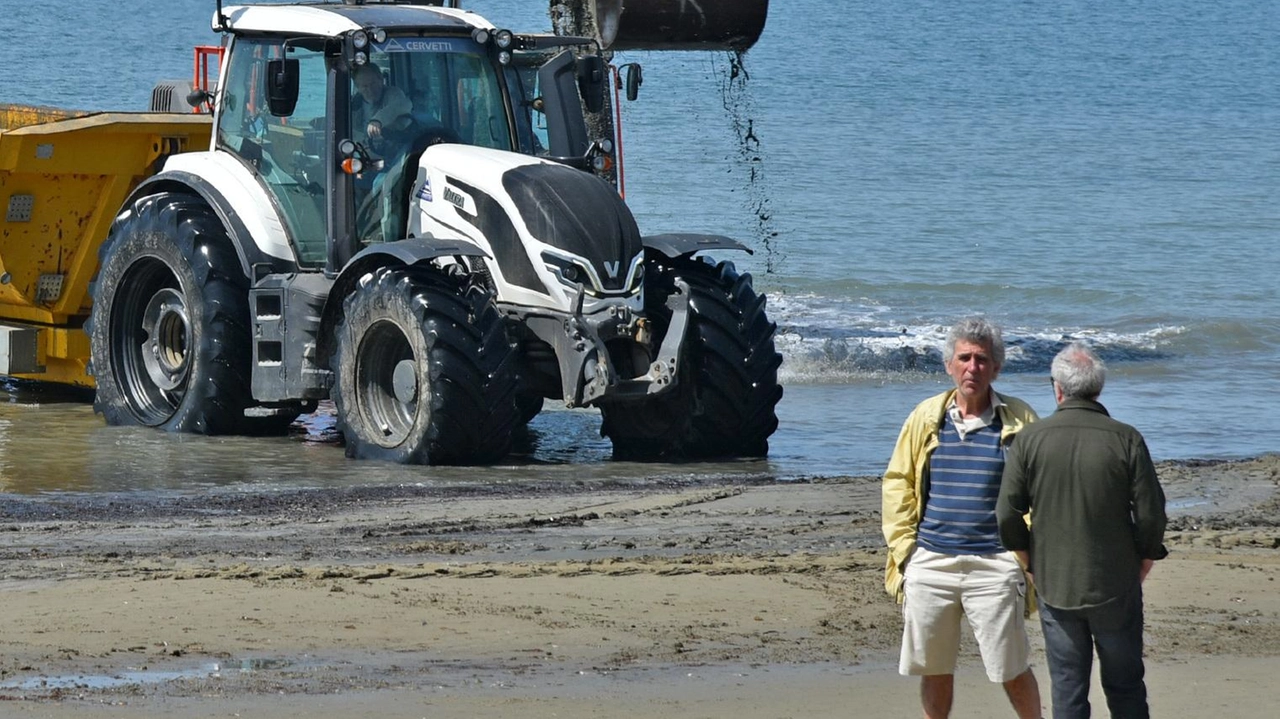 Ancora una volta è una corsa contro il tempo l’intervento di "riprofilatura stagionale della spiaggia con apporto di sedimenti...