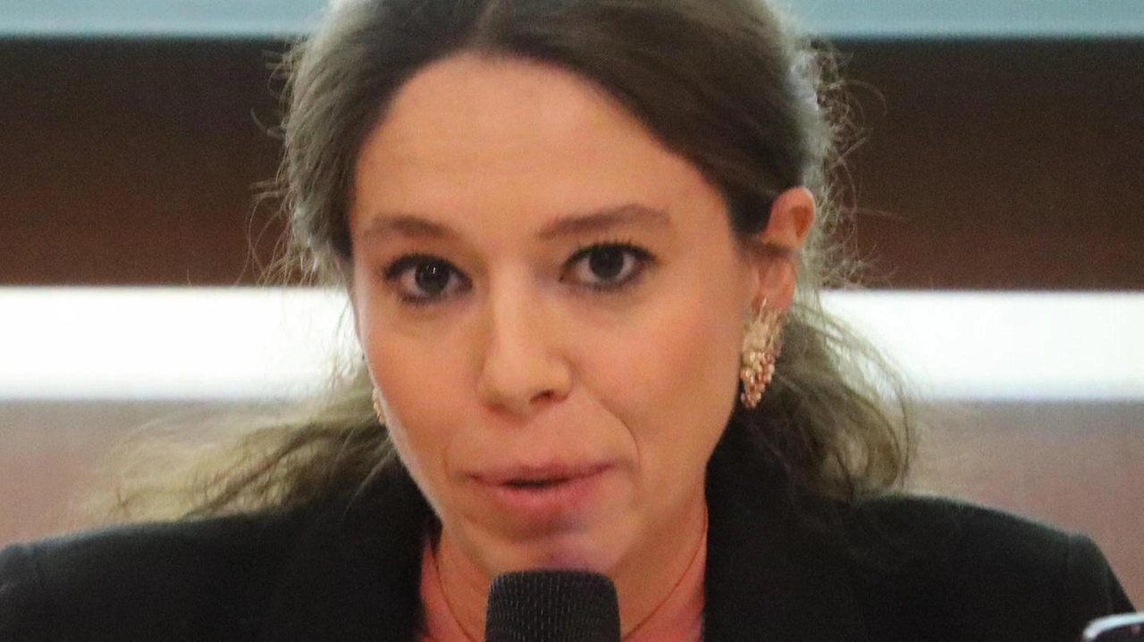La presidente della presidente del Consorzio Irina Strozzi traccia il bilancio della situazione consolidata e poi svela quali saranno le prossime mosse" .