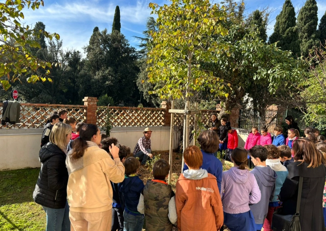 immagine di sfondo 1