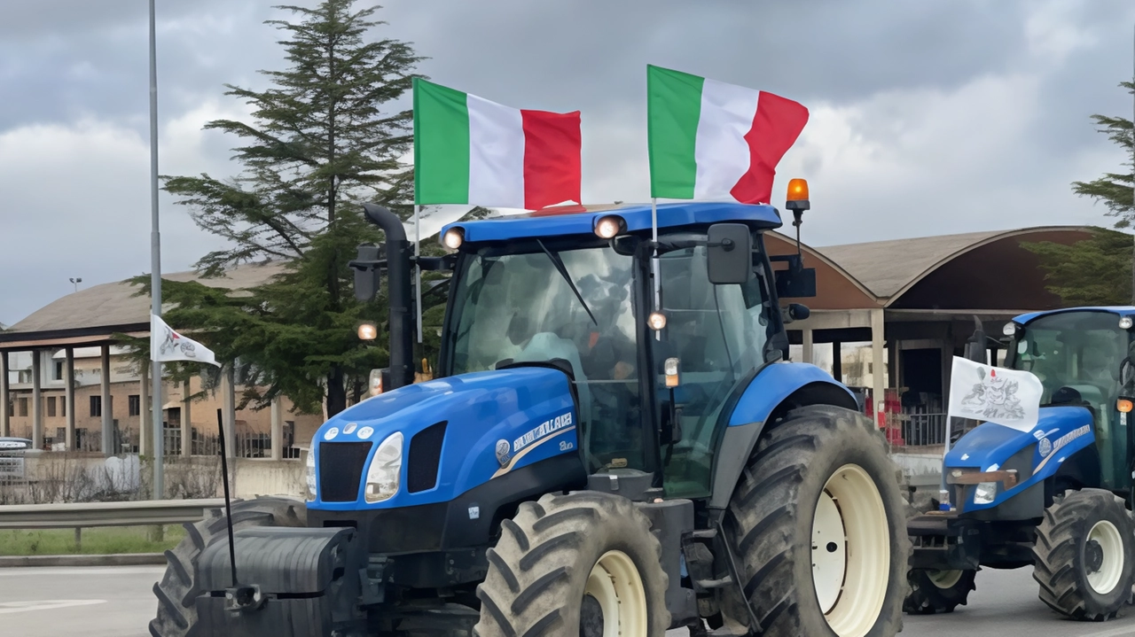 La sfilata rumorosa dei mezzi agricoltori dopo Foiano giovedì arriva in città. Il ritrovo allo stadio poi la mobilitazione lungo via Giotto e Guido Monaco. La sfilata rumorosa dei mezzi agricoltori dopo Foiano giovedì arriva in città. Il ritrovo allo stadio poi la mobilitazione lungo via Giotto e Guido Monaco.