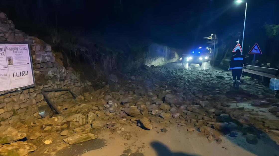 Crollo del muro lungo la provinciale: "La situazione crea molti disagi" Crollo del muro lungo la provinciale: "La situazione crea molti disagi"