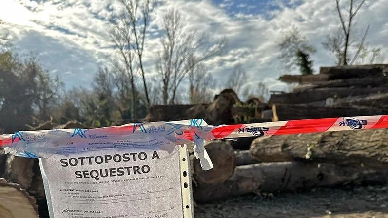 Il luogo dell’incidente (Foto Il Mattino di Padova) Il luogo dell’incidente (Foto Il Mattino di Padova)