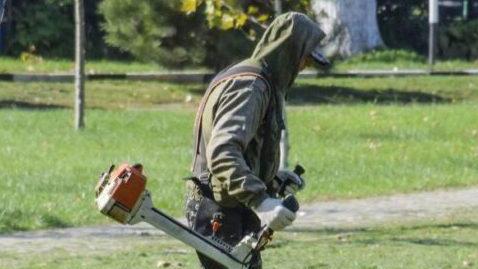 Terreni incolti. C’è l’ordinanza. Rischio multe Terreni incolti. C’è l’ordinanza. Rischio multe
