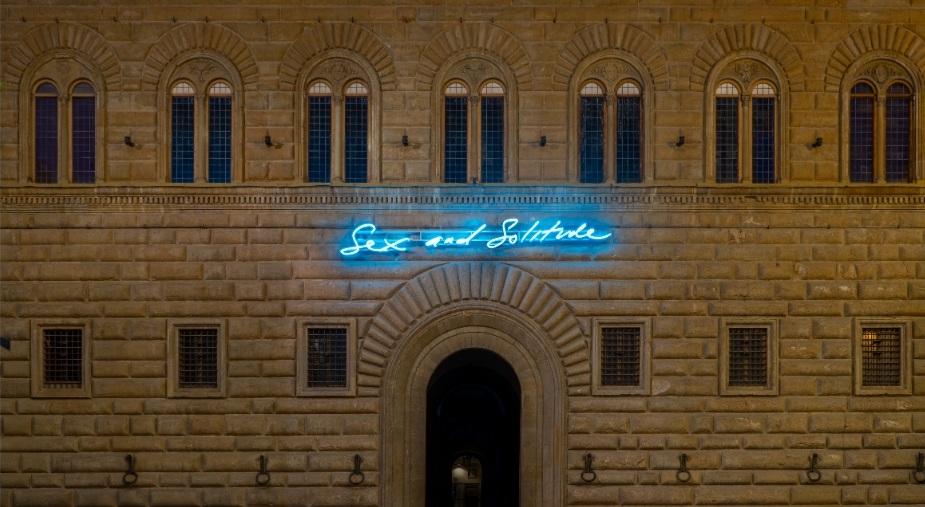 firenze palazzo strozzi luigi